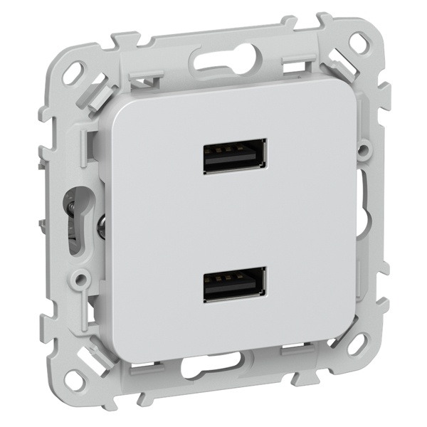 Розетка для зарядки ИЭК FLITE РЮ-2-ФлЖ USB A+A 2,1А жемчуг