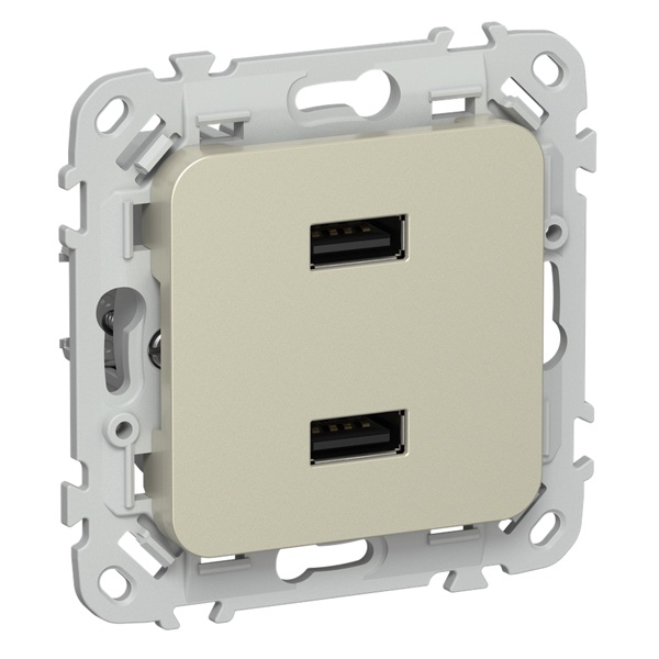 Розетка для зарядки ИЭК FLITE РЮ-2-ФлШ USB A+A 2,1А шампань