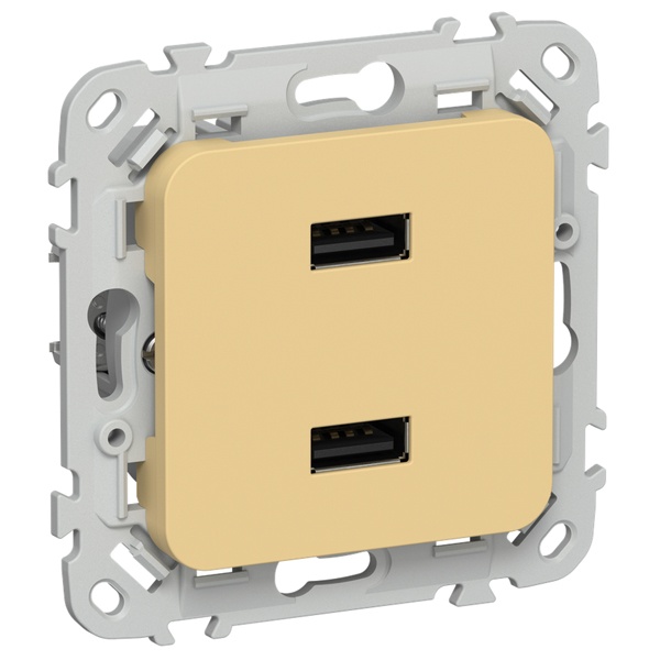 Розетка для зарядки ИЭК FLITE РЮ-2-ФлЗ USB A+A 2,1А золотарник