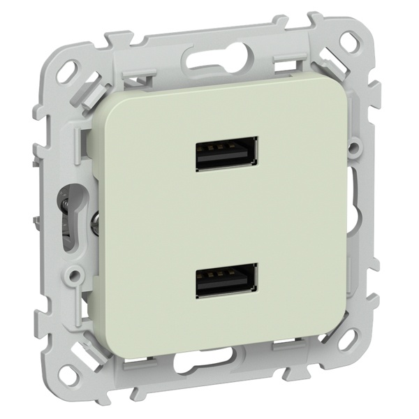 Розетка для зарядки ИЭК FLITE РЮ-2-ФлП USB A+A 2,1А панг