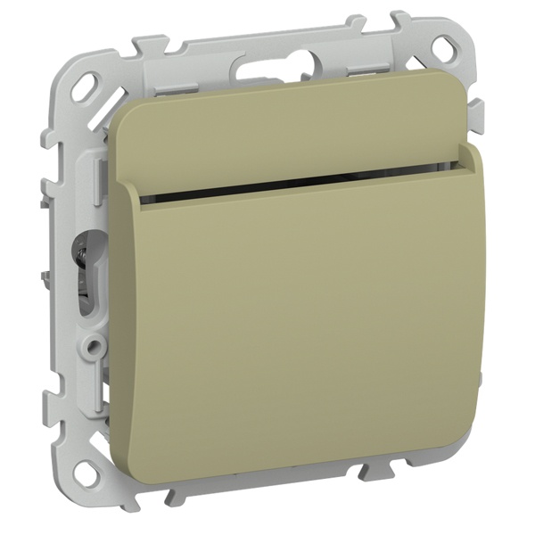 Выключатель карточный ИЭК FLITE ВК-0-ФлО 30А оливковый