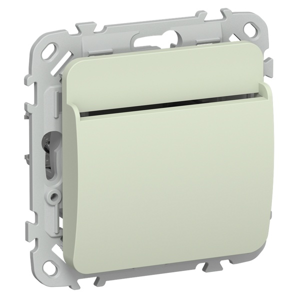 Выключатель карточный ИЭК FLITE ВК-0-ФлП 30А панг