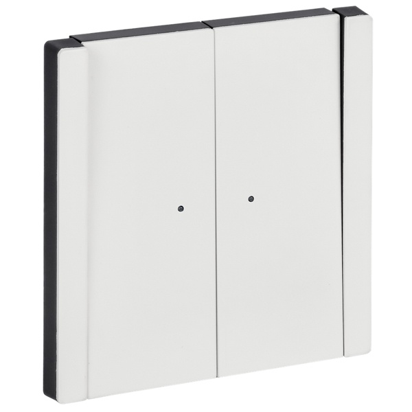 Переключатель двухклавишный с индикацией ИЭК FORTE&PIANO FP208M 10А металл белый