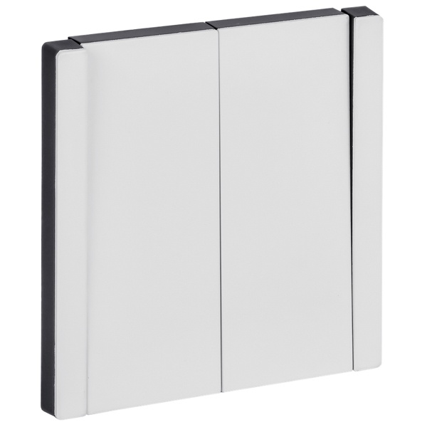 Переключатель двухклавишный перекрестный ИЭК FORTE&PIANO FP209M 10А металл белый