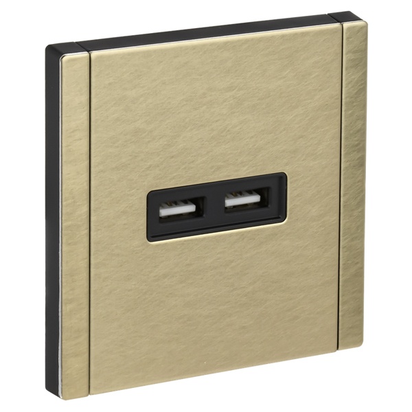 Розетка для зарядки ИЭК FORTE&PIANO FP649M USB A+A 3,1А металл шампань