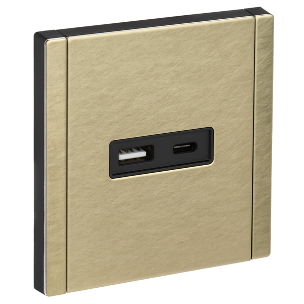 Розетка для зарядки ИЭК FORTE&PIANO FP651M USB A+C 18Вт металл шампань