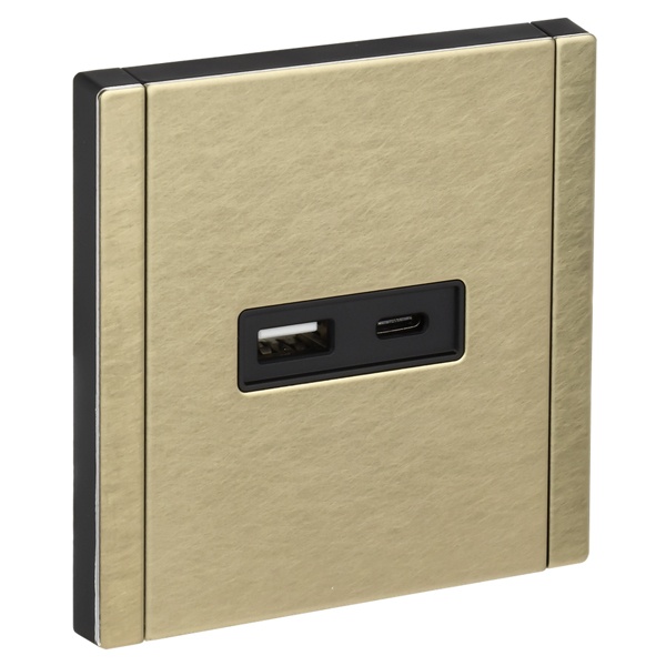 Розетка для зарядки ИЭК FORTE&PIANO FP650M USB A+C 3,1А металл шампань