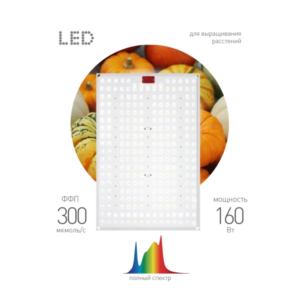 Квантум борд ЭРА FITO-160W-LED-QB Quantum board фитопрожектор полного спектра 160W 3500K IP67