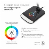 Светильник светодиодный настольный ЭРА NLED-460-14W-BK-S черный с серебром USB для зарядки устройств