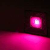 FITO прожектор ЭРА LED 50W BLUERED 784157