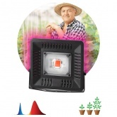 FITO прожектор ЭРА LED 50W BLUERED 784157