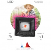 FITO прожектор ЭРА LED 50W BLUERED 784157