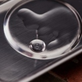 Силиконовое масло Rexant ПМС-200 15 мл