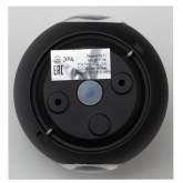 Светодиодный настенный светильник ЭРА WL11 BK 2x1W IP54 черный