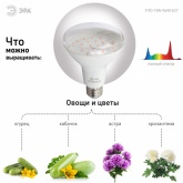 Лампа светодиодная для растений ЭРА FITO-15W-Ra90-E27 15W 2150K 220V E27 d95х135mm 787042