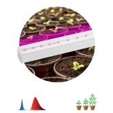 Светильник светодиодный для зелени и досветки комнатных цветов ЭРА FITO-9W-Т5-N красно-син. спектра