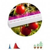 Светильник светодиодный для зелени и досветки комнатных цветов ЭРА FITO-14W-Т5-N красно-син. спектра