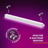 Светильник светодиодный для зелени и досветки комнатных цветов ЭРА FITO-14W-Т5-N красно-син. спектра