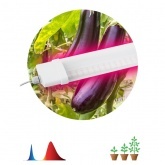 Светильник светодиодный для зелени и досветки комнатных цветов ЭРА FITO-36W-RB-N красно-син. спектра