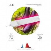 Светильник светодиодный для зелени и досветки комнатных цветов ЭРА FITO-36W-RB-N красно-син. спектра