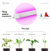 Светильник светодиодный для зелени и досветки комнатных цветов ЭРА FITO-36W-RB-N красно-син. спектра