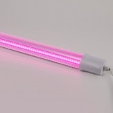 Светильник светодиодный для зелени и досветки комнатных цветов ЭРА FITO-36W-RB-N красно-син. спектра