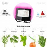 ФИТО светильник ЭРА FITO-50W-RB-LED прожектор красно-синего спектра 5056306087578