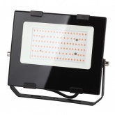 ФИТО светильник ЭРА FITO-50W-RB-LED прожектор красно-синего спектра 5056306087578