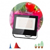 ФИТО светильник ЭРА FITO-100W-RB-LED прожектор красно-синего спектра 5056306087790