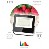 ФИТО светильник ЭРА FITO-100W-Ra90-LED прожектор для цветения и плодоношения 5056396204459