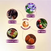 ФИТО светильник ЭРА FITO-100W-Ra90-LED прожектор для цветения и плодоношения 5056396204459