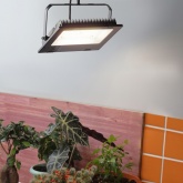 ФИТО светильник ЭРА FITO-100W-Ra90-LED прожектор для цветения и плодоношения 5056396204459