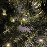 Гирлянда ЭРА ENIN -5NW LED Нить 5м теплый свет, АА 5056396208105