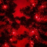 Гирлянда ЭРА ENIN -5NR LED Нить 5м красный свет, АА 5056396208167