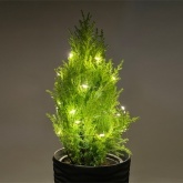 Гирлянда ENIN-2B ЭРА LED Нить 2m теплый свет, 3xAA, IP20