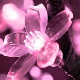 Гирлянда светодиодная Цветы Сакуры 50 LED Розовые 7 метров с контроллером 230V IP20