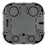 Накладная розетка компьютерная Legrand Quteo RJ45 кат.5e UTP слоновая кость (бежевый)