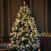 Гирлянда Свечи, 10м, темно-зеленый ПВХ, 50 LED 230V IP20 тепло-белые