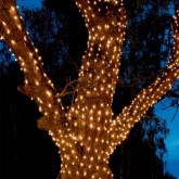 Гирлянда LED Клип-лайт, 24V, 3 нити по 20 м, свечение с динамикой, цвет диодов желтый