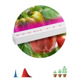 Светильник светодиодный для зелени и досветки комнатных цветов ЭРА FITO-16W-Т5-N красно-син. спектра