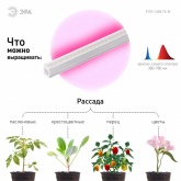 Светильник светодиодный для зелени и досветки комнатных цветов ЭРА FITO-16W-Т5-N красно-син. спектра