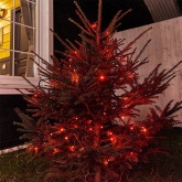 Гирлянда Твинкл Лайт Neon-Night 10 м, черный ПВХ, 100 LED, 230V IP65 цвет красный