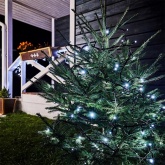 Гирлянда Твинкл Лайт Neon-Night 10 м, черный ПВХ, 100 LED, 230V IP65 цвет белый