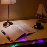 Гирлянда Твинкл Лайт Neon-Night 10 м, черный ПВХ, 100 LED, 230V IP65 цвет мультиколор