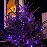 Гирлянда Твинкл Лайт Neon-Night 10 м, черный ПВХ, 100 LED, 230V IP65 цвет фиолетовый