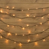 Гирлянда Твинкл Лайт Neon-Night 4 м, темно-зеленый ПВХ, 25 LED, 230V IP20 цвет теплый белый