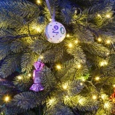 Гирлянда Твинкл Лайт Neon-Night 6 м, темно-зеленый ПВХ, 40 LED, 230V IP20 цвет теплый белый