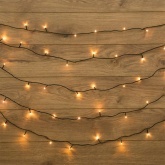 Гирлянда Твинкл Лайт Neon-Night 6 м, темно-зеленый ПВХ, 40 LED, 230V IP20 цвет теплый белый