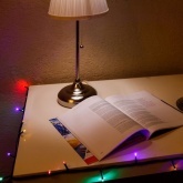 Гирлянда Твинкл Лайт Neon-Night 6 м, темно-зеленый ПВХ, 40 LED, 230V IP20 цвет мультиколор