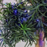 Гирлянда Твинкл Лайт Neon-Night 15 м, темно-зеленый ПВХ, 120 LED, 230V IP20 цвет синий